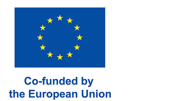 European union logotype