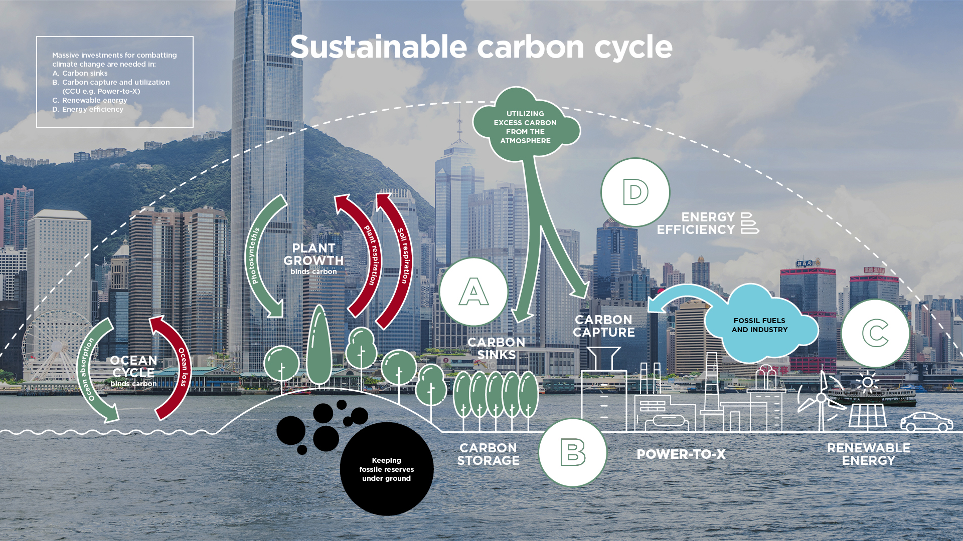 carbon cycle